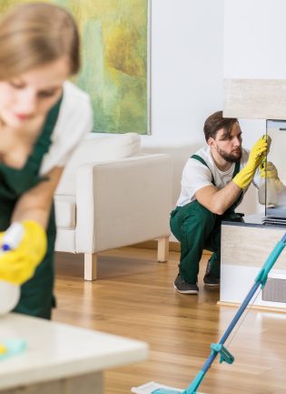Ev Temizliği